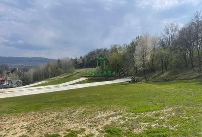 Teren intravilan - Calea Lui Traian - Zona Cetatuia - 9