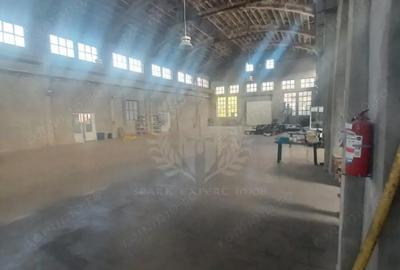 Spațiu comercial, de 3,500 mp, în Bereasca - 18