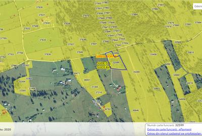 Teren de la 1000mp la 6181mp, Neagra Sarului - 3