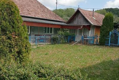 Casă cu 2 camere în Pălatca - 8