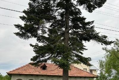 Casă individuală cu 2 camere cu Canalizare în Cătunu (Cornești) - 8
