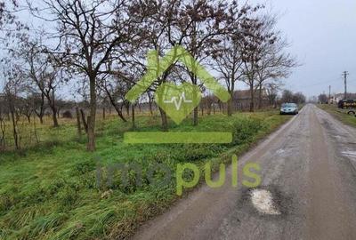 ? Teren intravilan de 1.159 mp in Dragsina. (26,75 Euro/mp)? - 7