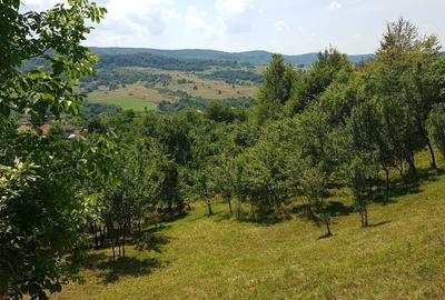 Teren Construcții intravilan de 24141 mp, în Drăghici - 2