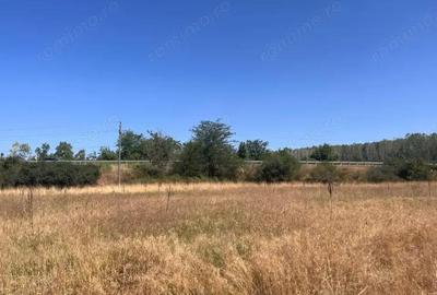 Teren agricol cu potential 24.834 mp, zona Podul Jiului Teren agricol cu potential 24.834 mp, zona Podul Jiului - 11