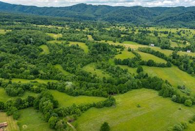 Teren ideal recreere/conectare cu natura/zona Fagaras/achitare in rate - 13