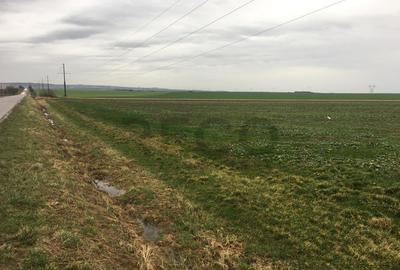 Reco Teren Intravilan in Chiribis - 1