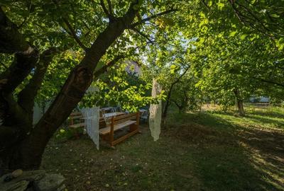 POVESTEA UNEI CASE PENTRU GENERATII  | VILA CU FARMEC, LUMINA SI TEREN 1618 MP POVESTEA UNEI CASE PENTRU GENERATII  | VILA CU FARMEC, LUMINA SI TEREN 1618 MP - 3