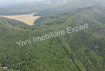 Teren de vanzare in apropiere de Transfagara?an ?i Valea Valsanului. - 8