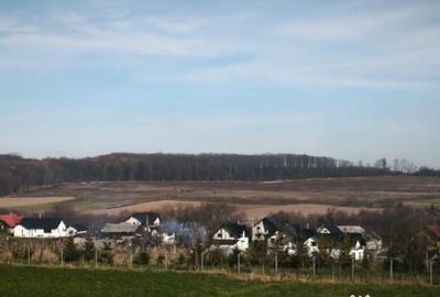 Casă cu 5 camere cu Teren 1792 Mp în Mitocu Dragomirnei - 6