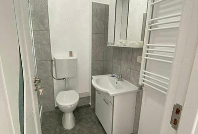 Garsonieră în Dumbrăvița - 1