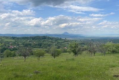 Teren Intravilan panoramic Bran, zona  Bradul Inalt - 3