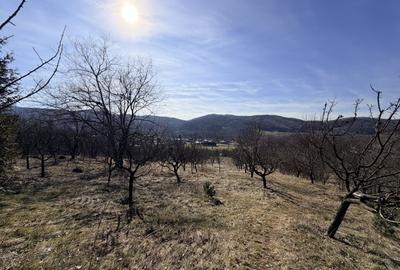 Casă individuală cu 5 camere cu Garaj în Livadea - 39