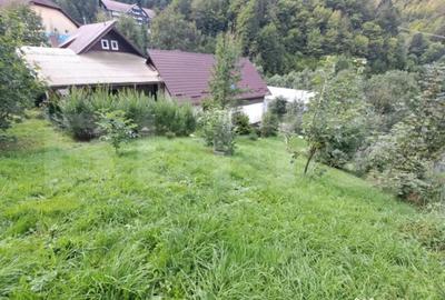 Casă cu 4 camere cu Teren 1209 Mp în Moieciu - 2