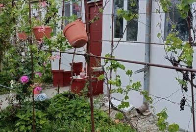 Vand Casa in Cenei - 7