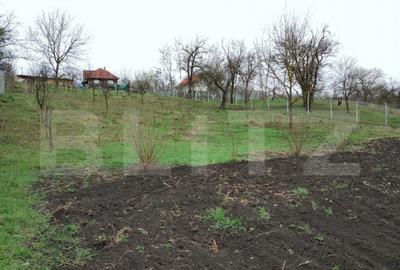 Teren intravilan de vanzare in Calarasi langa Turda! - 10