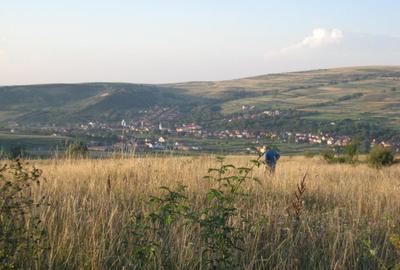 Teren Construcții intravilan de 5700 mp, în Chinteni - 1