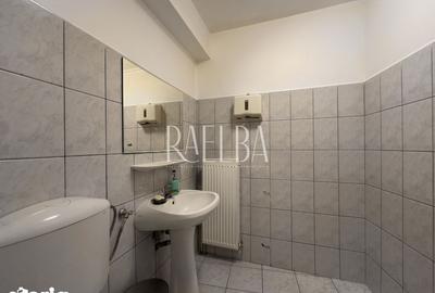 Spațiu comercial, de 270 mp, în Dacia - 2