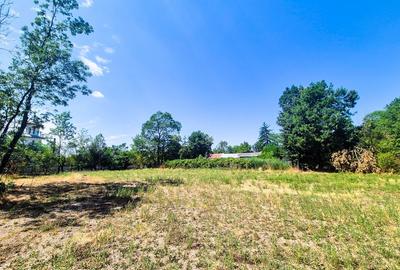 Casa , teren intravilan Urlueni Barla Arges - 19