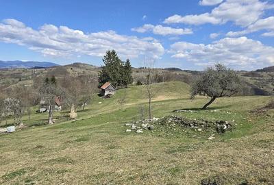 Teren de 23000 mp, în Sohodol - 5