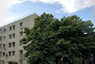 Apartament cu 3 camere semidecomandat în Lacul Tei