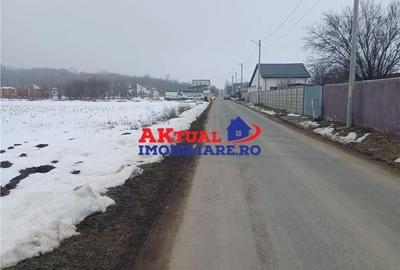 Spațiu comercial, în Domnești - 4