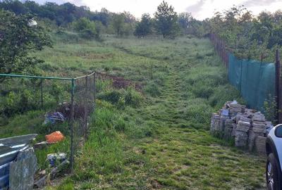 Spațiu comercial, în Bârnova - 5