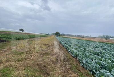 Teren de 4700 mp, în Central