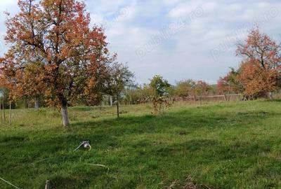 Casă cu 1 camere în Crocna - 5