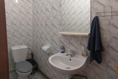 Apartament cu 3 camere decomandat, mobilat în Gorjului - 12