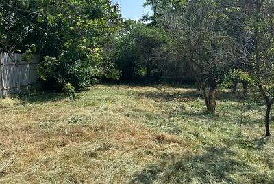 Casă cu Teren 1400 Mp în Măldăeni - 1