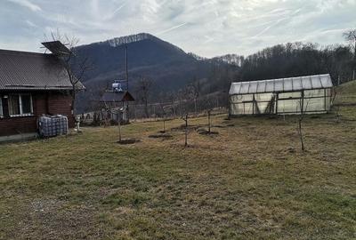 Casă cu Teren 1100 Mp în Central - 2