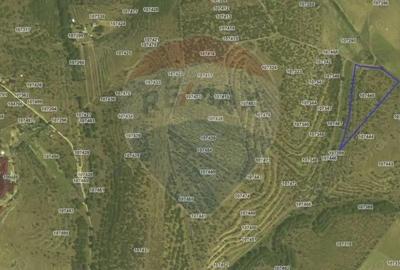 De vanzare Teren Extravilan- Cernavoda - 3