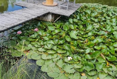 Teren Construcții intravilan de 30000 mp, în Exterior Est - 23