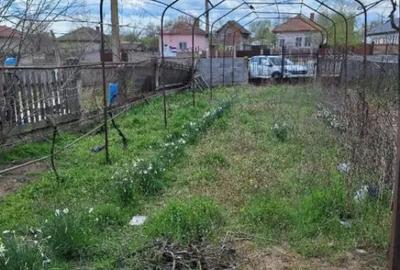Casă cu 3 camere cu Teren 2504 Mp în Central - 2