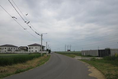 Domnesti-Narciselor. - 9