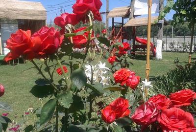 Casă cu 11 camere cu Teren 2200 Mp în Crișan - 1