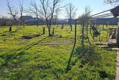 Casa de vanzare. Strada Gradinitei nr.20 jud.Ialomita - 2