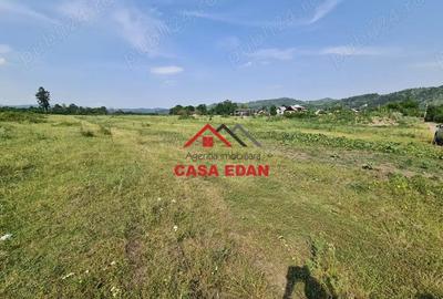 Teren intravilan in Campina, 7500mp--35e - 9