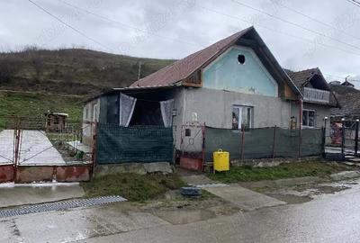 Casă cu 3 camere în Lunca Mureșului - 2