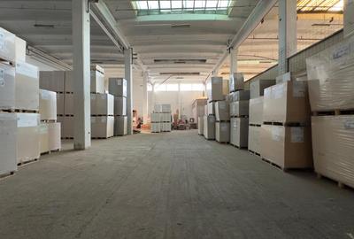 Hala renovata cu rampa de la 492mp la 1000mp, zona Carrefour Felicia - 2