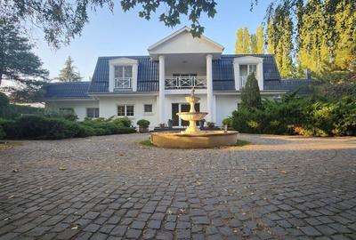 Vila individuala, teren 3000 mp, Iancu Nicolae - 24