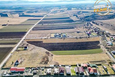 Teren Construcții intravilan de 31605 mp, în Exterior Est - 6