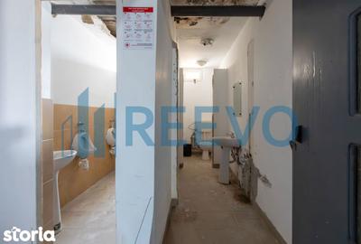 Casă cu 3 camere cu Teren 4060 Mp în Grumăzești - 19