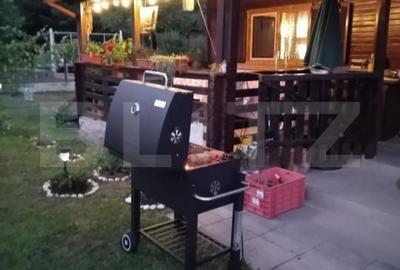 Casă cu 3 camere în Criș - 8