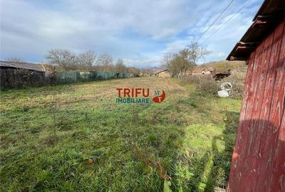 Casa 3 camere de vanzare in comuna Cricau cu 1200 mp teren - 14