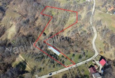 Casă cu Teren 9815 Mp în Borovinești - 8