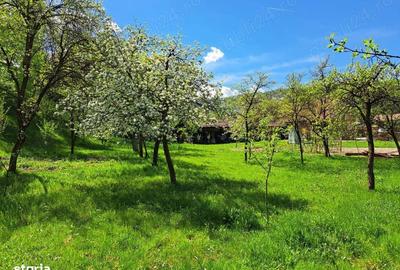 Casă cu 4 camere în Costești (Albac) - 1