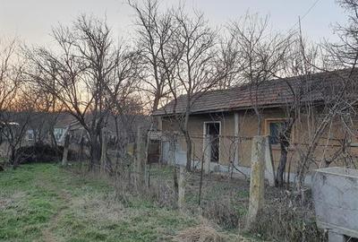 Vand casa si teren 600 mp Com. Scrioastea  langa Rosiori de Vede - 3