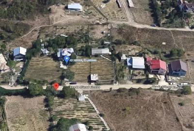 Casa si teren cota parte 3/16, Vladiceni, ID: R2764937 - 10