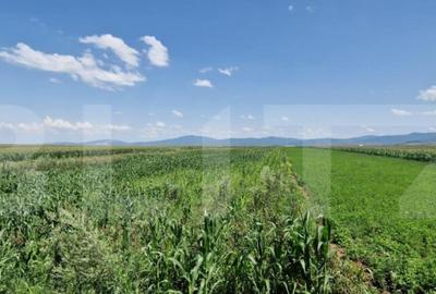 ???? Teren de vanzare, partial intravilan Izvor, Tarlu - 12